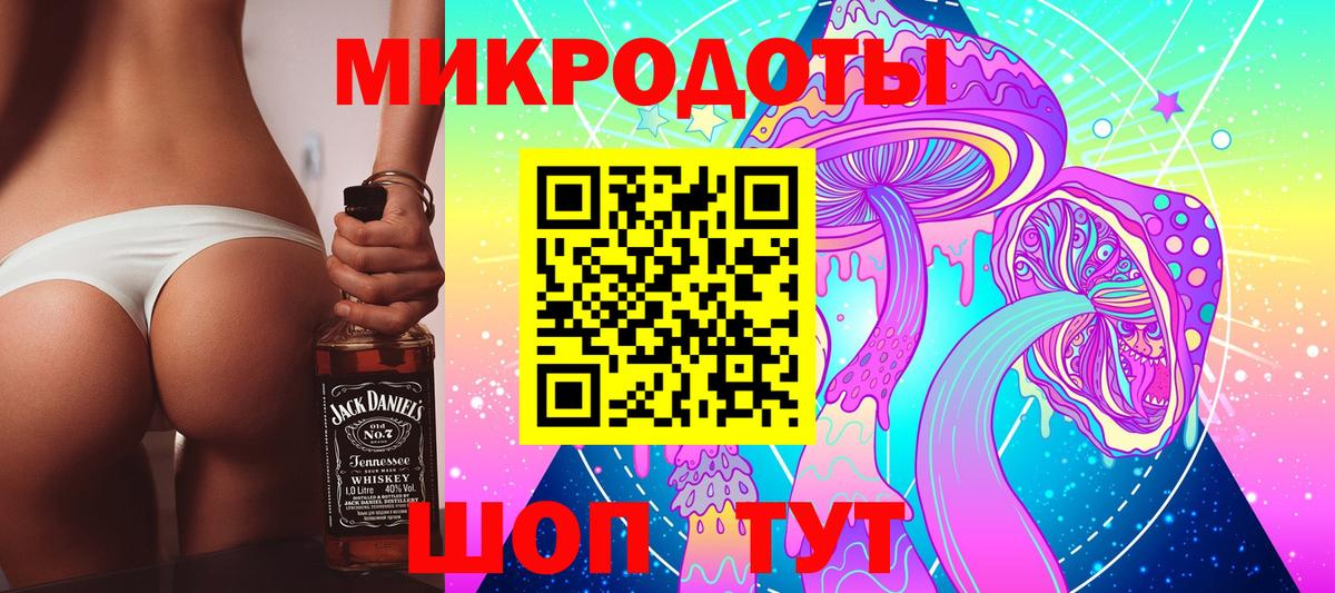 Псилоцибиновые грибы Psilocybe  Вход с VPN  Лосино-Петровский 