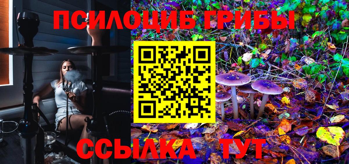 Псилоцибиновые грибы мицелий Лосино-Петровский